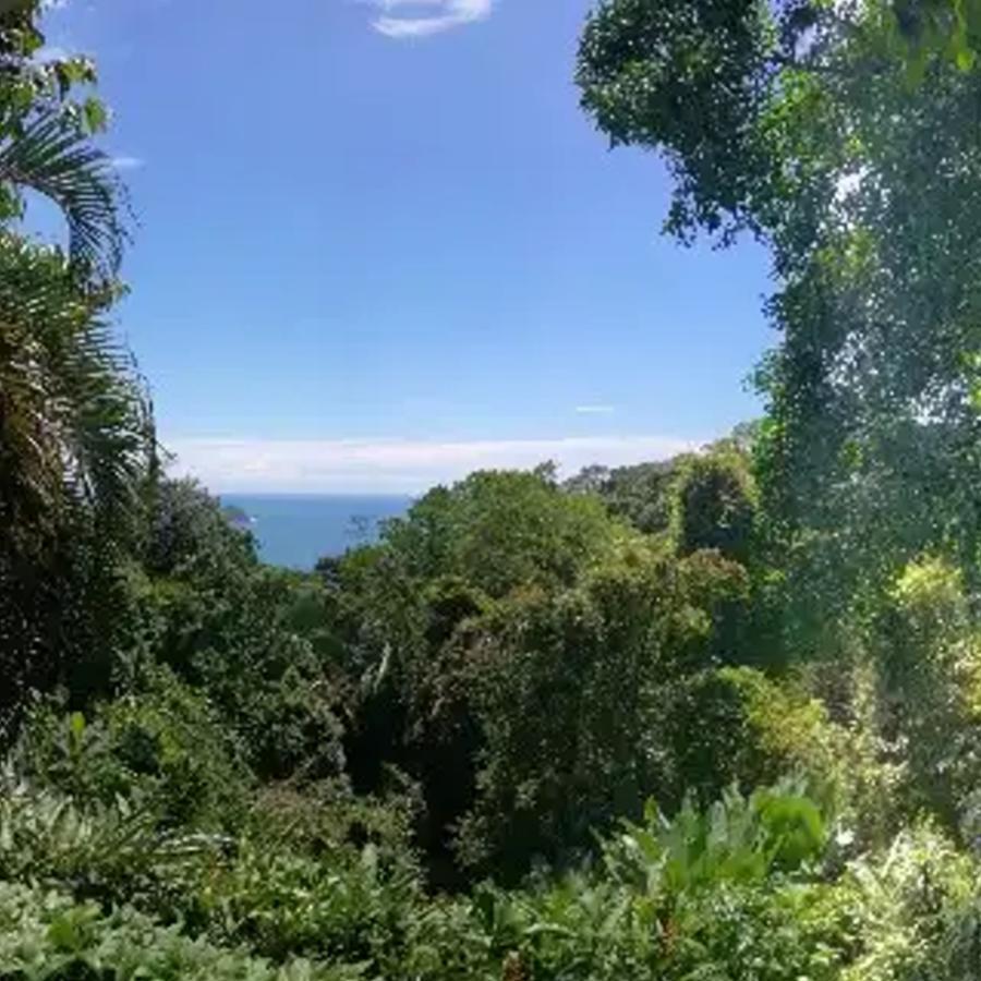 Manuel Antonio Park House - Adults Only Hotell Exteriör bild