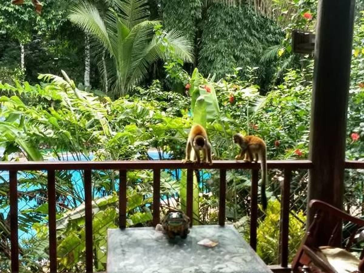 Manuel Antonio Park House - Adults Only Hotell Exteriör bild