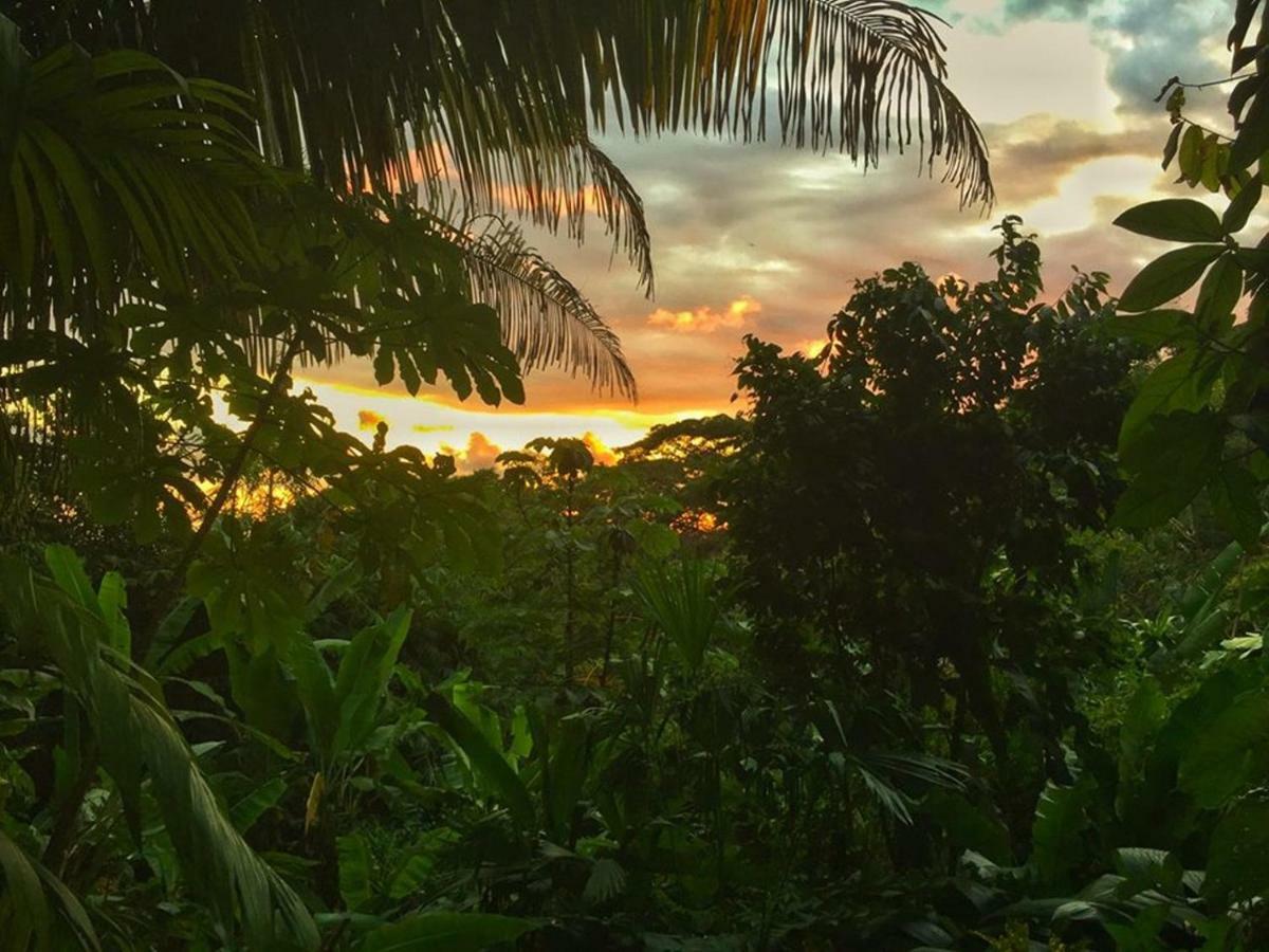 Manuel Antonio Park House - Adults Only Hotell Exteriör bild